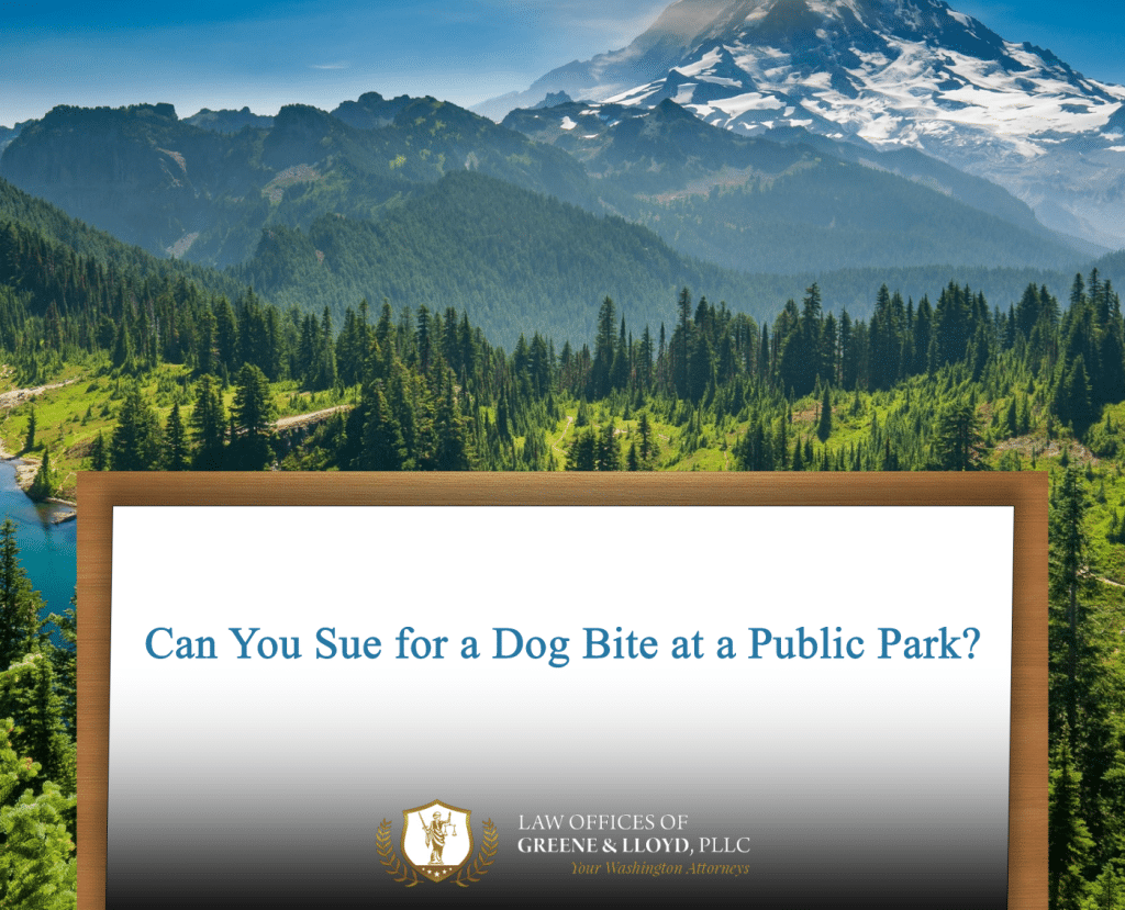 Can You Sue for a Dog Bite at a Public Park?